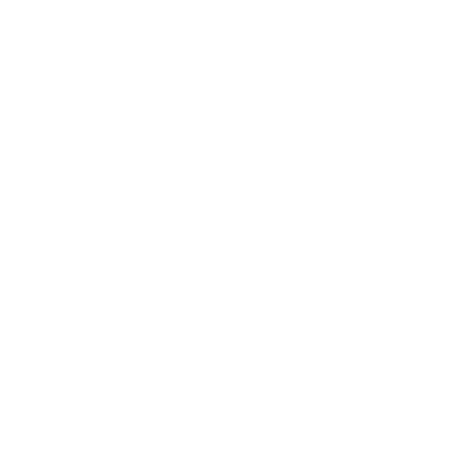 Business Intelligence